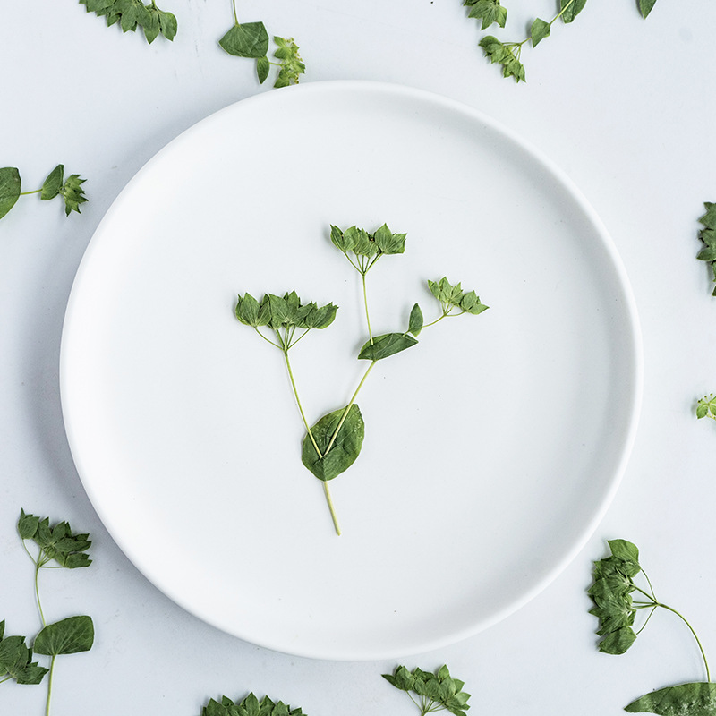 60 Stück Hasenohrgras mit Zwei – Plant Parent Sticker Bewertung und Preis